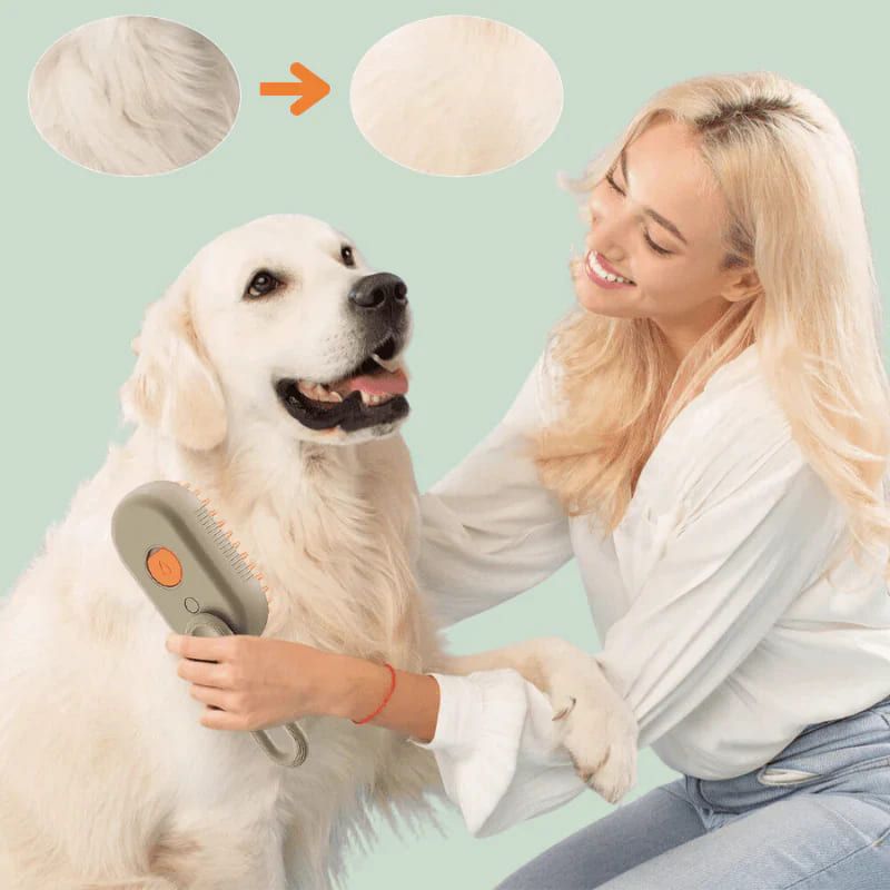 AuraPet Steam - 2 piezas